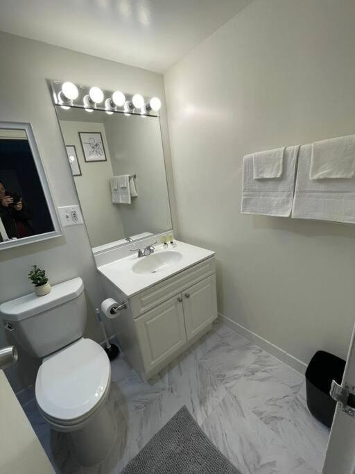 Charming Apartment At Crystal City With Amazing Amenities أرلنغتون المظهر الخارجي الصورة